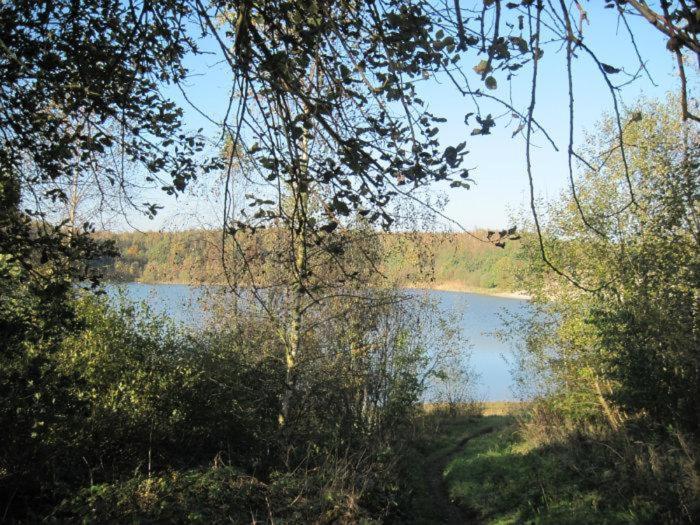 Chalet Kokomo - Gelegen In Bosrijkgebied Van Drenthe Eext Eksteriør bilde
